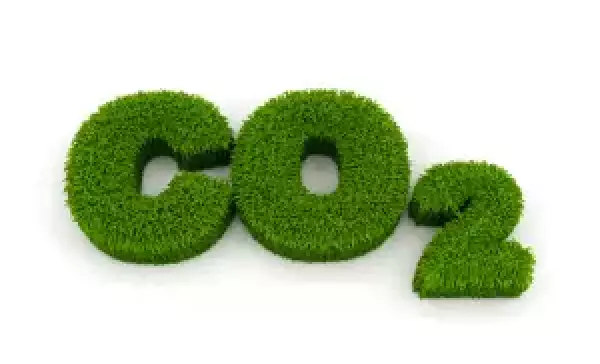 Co2 from grass