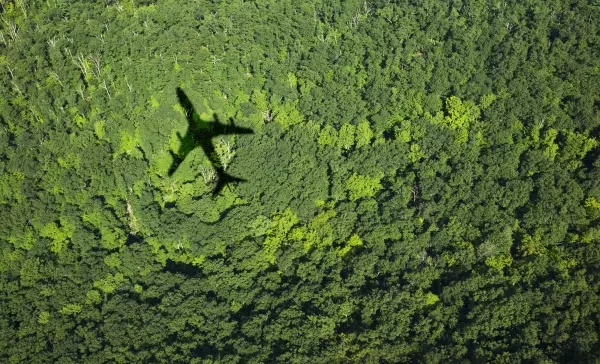Shadow of airplane over forest