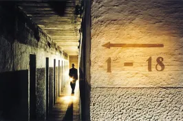 Dunkler Gang mit vielen Türen, eine silhouettierte Person mit Lichtquelle im Hintergrund.