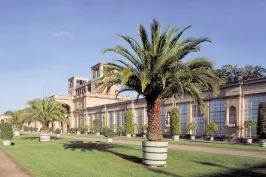 Historisches Gewächshaus mit Palmen in großen Kübeln vor dem Gebäude bei blauem Himmel.