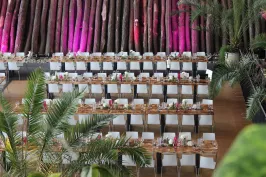 Orangerie Biosphäre Potsdam, Location