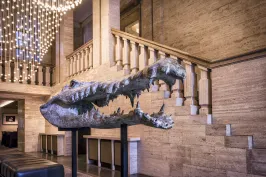 Krokodilschädel-Skulptur in einer eleganten Hotellobby mit Treppe und Lichterkette.