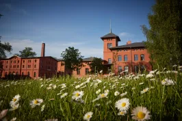 Das Außengelände der Eventlocation Landgut Stober an einen sonnigen Tag