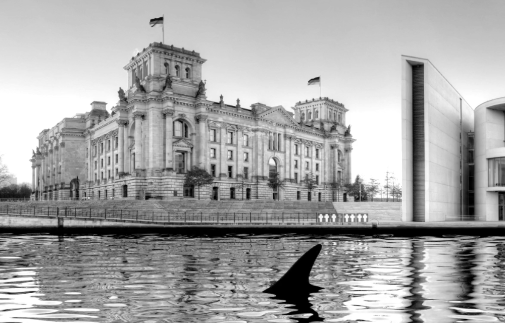 Die Orca-Flosse vor dem Bundestag