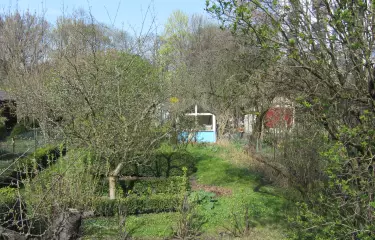 Kleine, verwunschene Laube in einer Schrebergartenkolonie in Wilmersdorf.