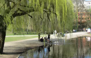 Junge Leute sitzen am Ufer der Teiches im Schöneberger Volkspark unter einer großen Weide im Frühling.
