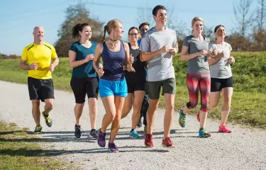 Meeting Guide Berlin Team Spirit Team walking along a gravel path
