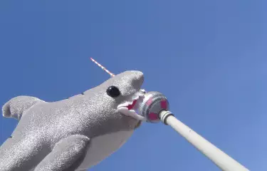 Meeting Guide Berlin, Teddy Tour Berlin - Das weltweit erste Reisebüro für gestresste Kuscheltiere