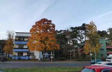 Häuser in Zehlendorf