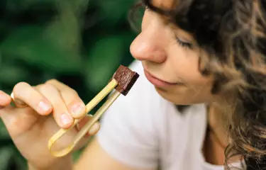 an der Schokolade riechen