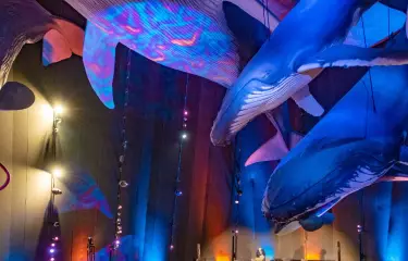 Wikimedia, WikiCon 2022, hybrides Event 