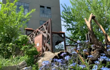 Vor dem Tor ins NIRGENDWO