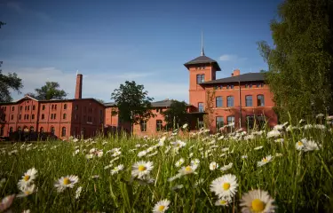 Das Außengelände der Eventlocation Landgut Stober an einen sonnigen Tag