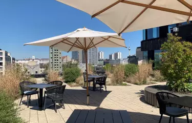 Dachterrasse frizzforum