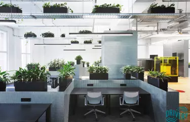 The Drivery Algorithm Farm