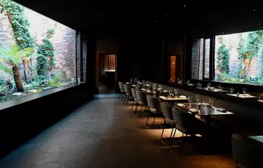 Lovis Lounge