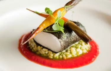 Close up of a prepared meal - fine dining