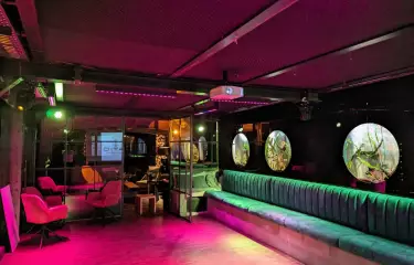 PATIO Bilge-Bar mit Tanzfläche