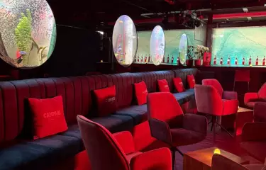 PATIO Bilge-Bar im Unterdeck