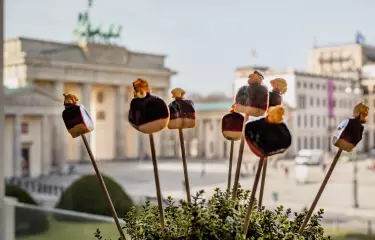 Hoflieferanten Berlin Sommer