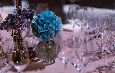 Leidenschaftliches Team für unvergessliche Erlebnisse