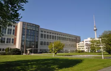 Our garden area in the heart of the city