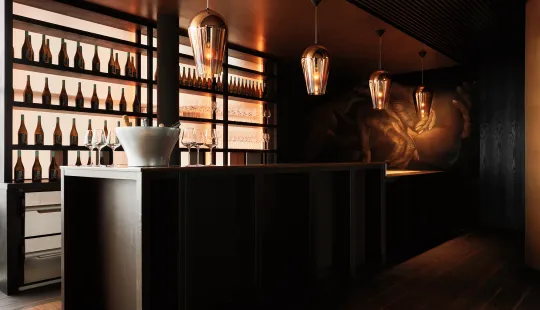 Moderne Bar mit dunklem Holz, beleuchteten Flaschenregalen und stimmungsvoller Beleuchtung.