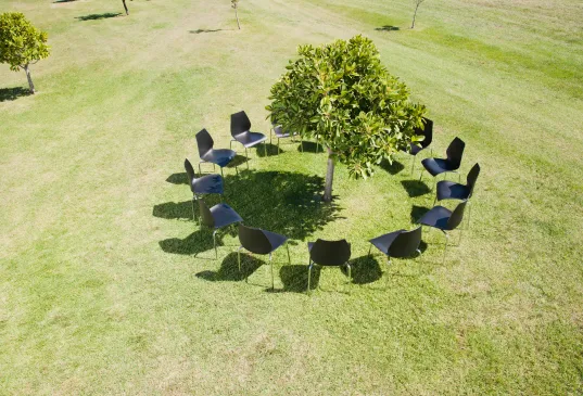 Ein Stuhlkreis, der auf einer grünen Wiese um einen Baum aufgebaut ist
