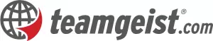 Logo teamgeist-group.com