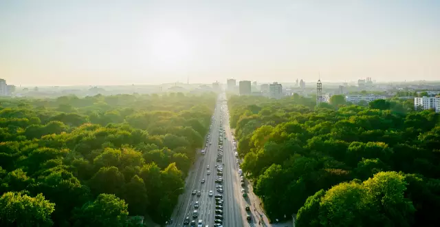 Blick auf den grünen Tiergarten Berlin von oben bei Sonnenaufgang