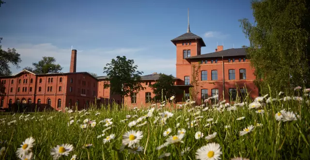 Das Außengelände der Eventlocation Landgut Stober an einen sonnigen Tag