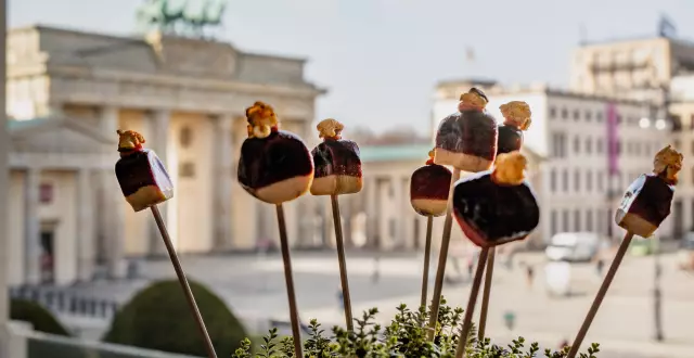 Hoflieferanten Berlin Sommer