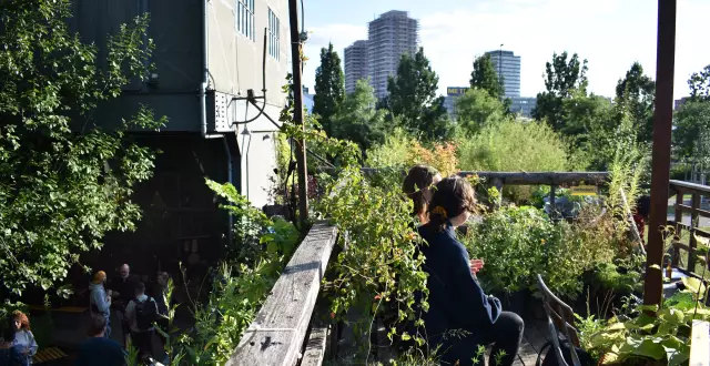 Sustainable Berlin MeetUp