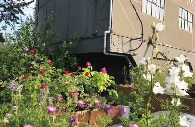 Blumenterrasse mit Aussicht