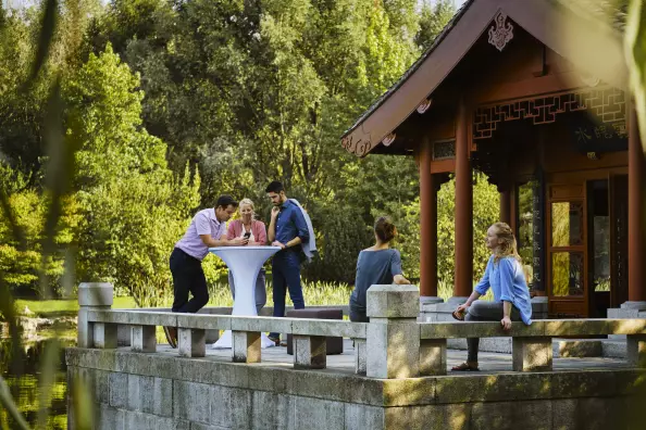 Meeting in the Chinese Garden 