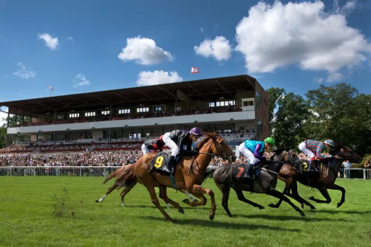 Horse race with jockeys sprinting on grass track, grandstand full of spectators in background.