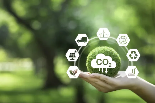 reducing carbon emissions carbon neutral concept Net zero emission target, green background with icons.
