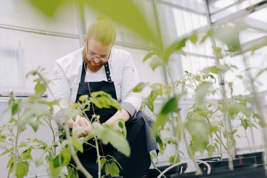 Mann mit Bart pflegt junge Pflanzen in einem modernen Gewächshaus.