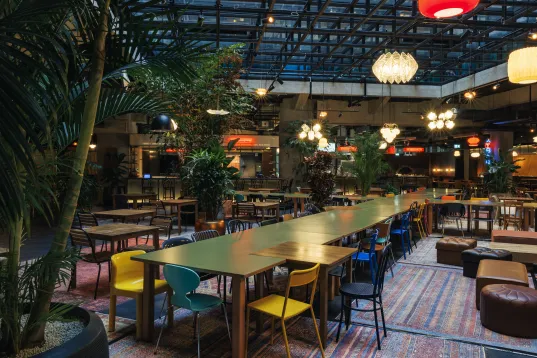 Impressions of the Kalle Halle in Neukölln. A modern restaurant with long wooden tables, plants, colorful chairs, and warm lighting under a glass roof, creating a cozy atmosphere.